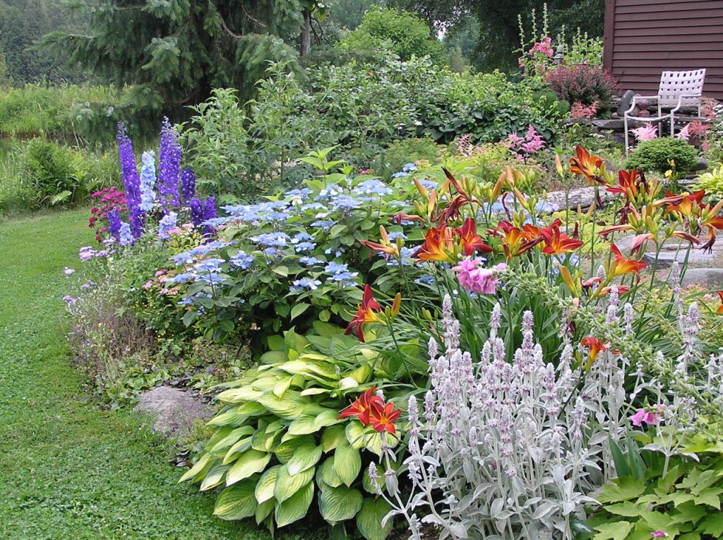 Flowers