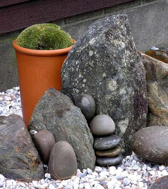 Stones and Moss