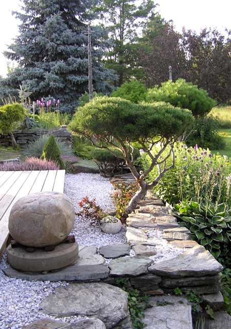 Stones and bonsai