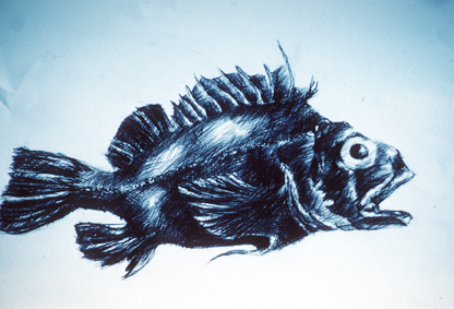 Fish copy