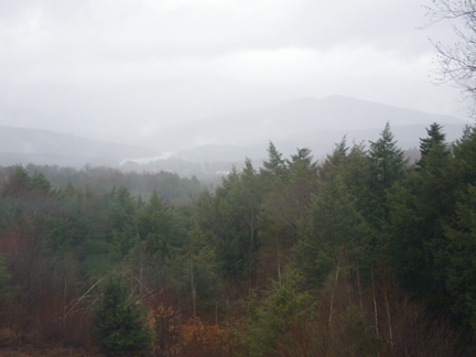Grey Day2