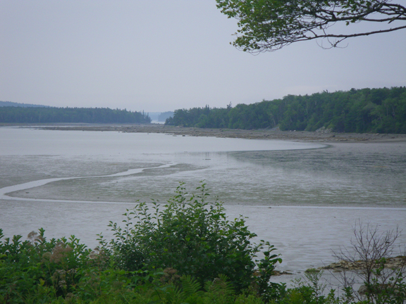 GooseCove