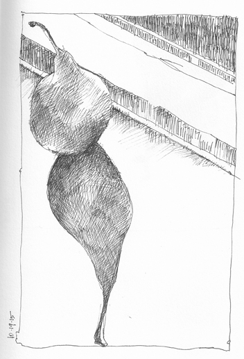 Pear-3