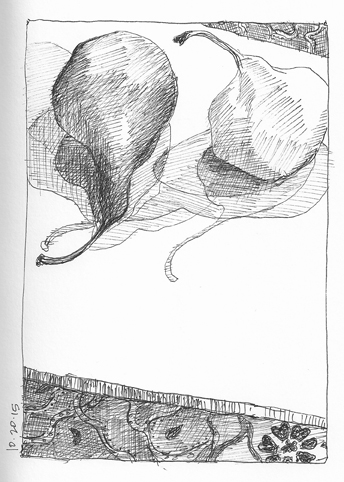 Pear-5