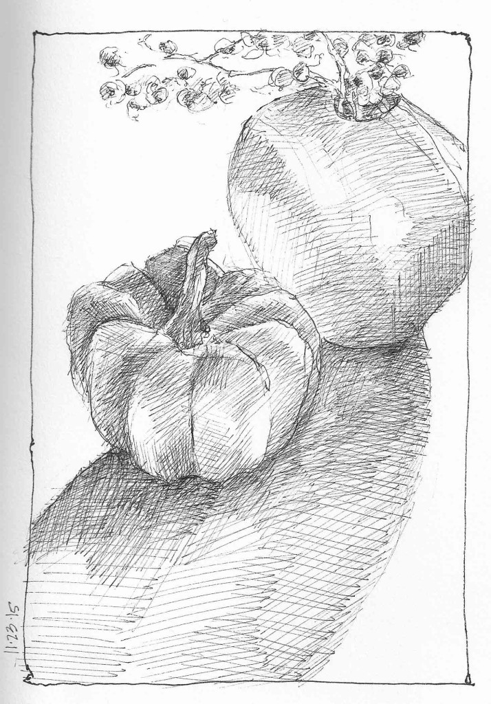 Bittersweet&MiniPumpkin1