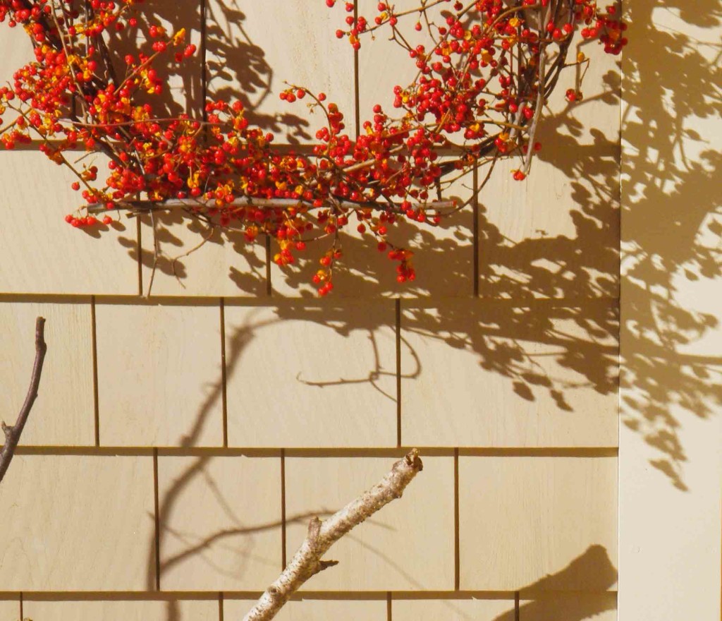 November-Door