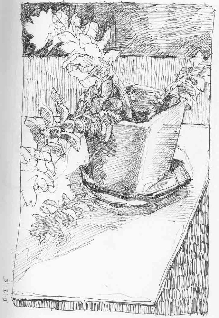 Succulent-1
