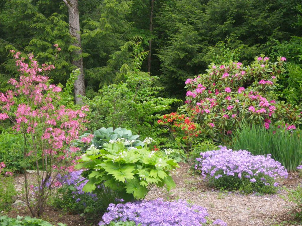 GardenSix