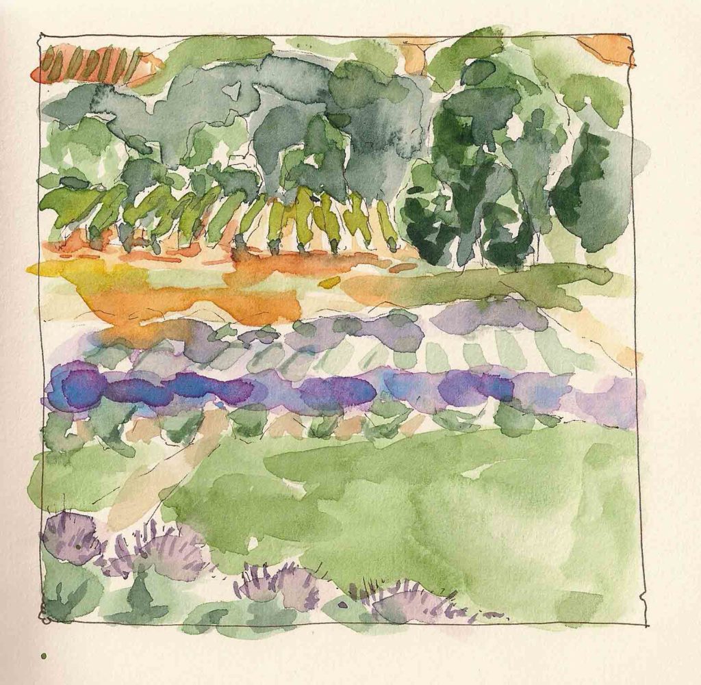 Matanzas-Creek-Lavendar