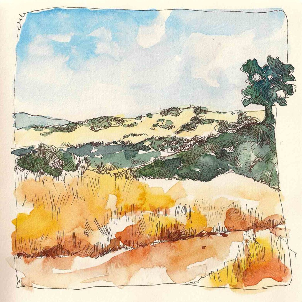 Overlook-Trail