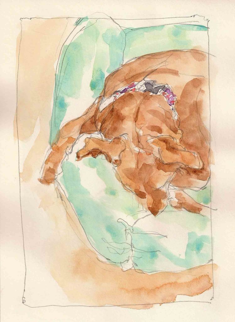 quinnwatercolorsketch