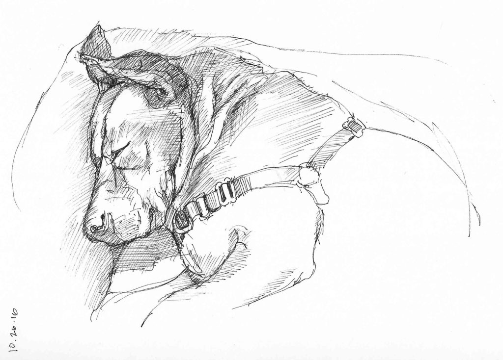 snooze-study