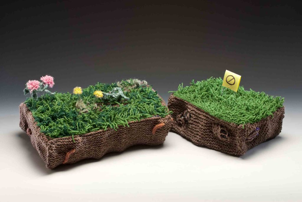 Chemical Lawn Natural Lawn