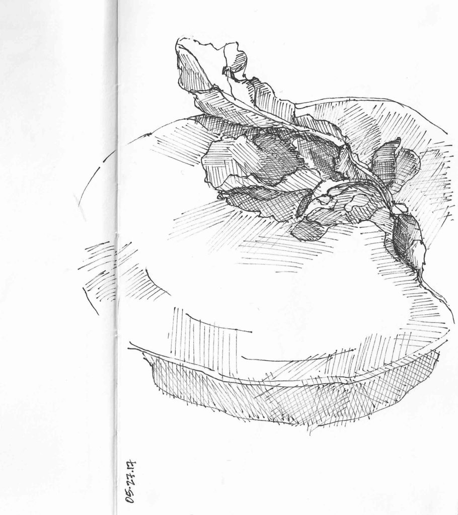Radish