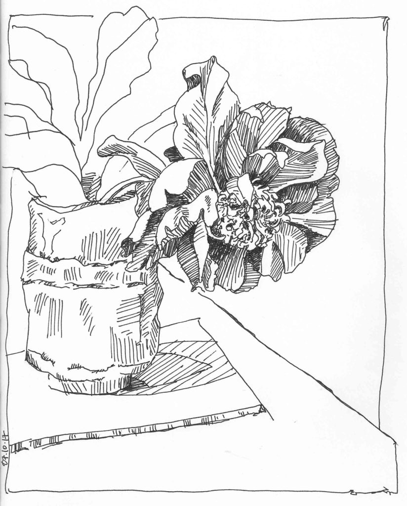 Peony 2