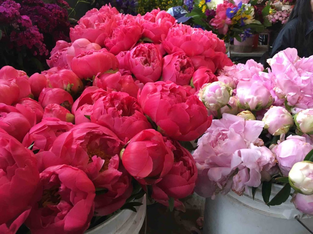 Pike Place Peonies