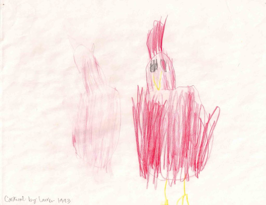 Cardinal