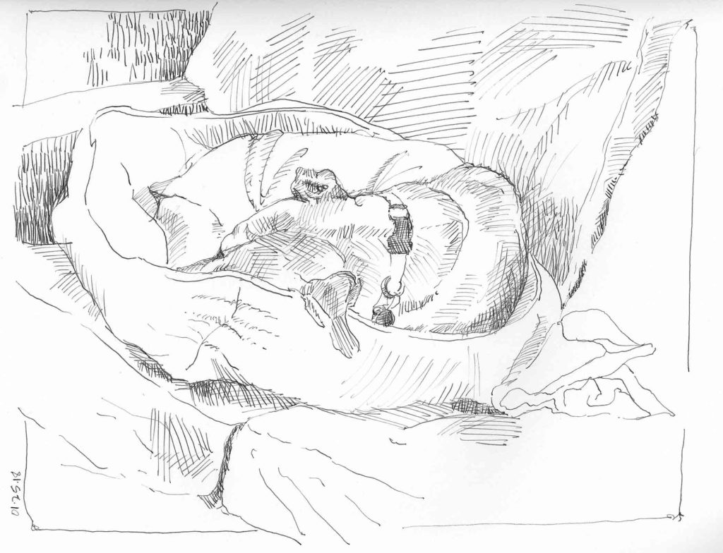 Snoozer 1