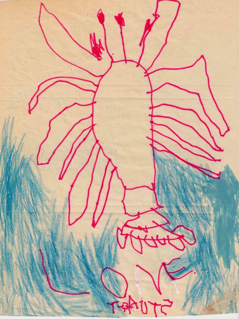 Stu's Lobster