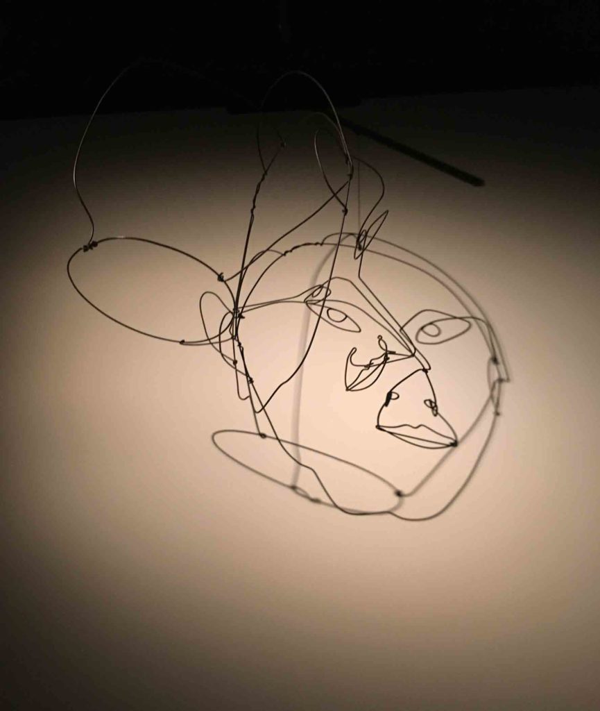 Calder face