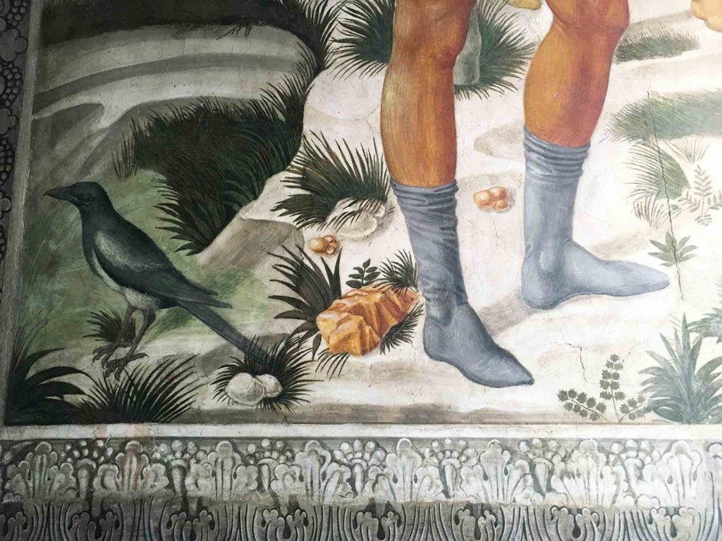 Bird and ankles