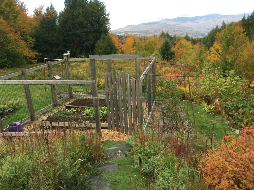 Fall Garden