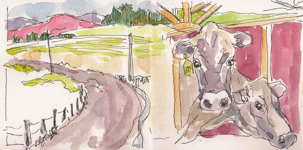 Laggis Bros. Farm 1