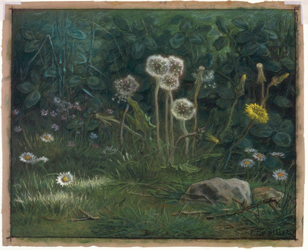 Dandelions Millet
