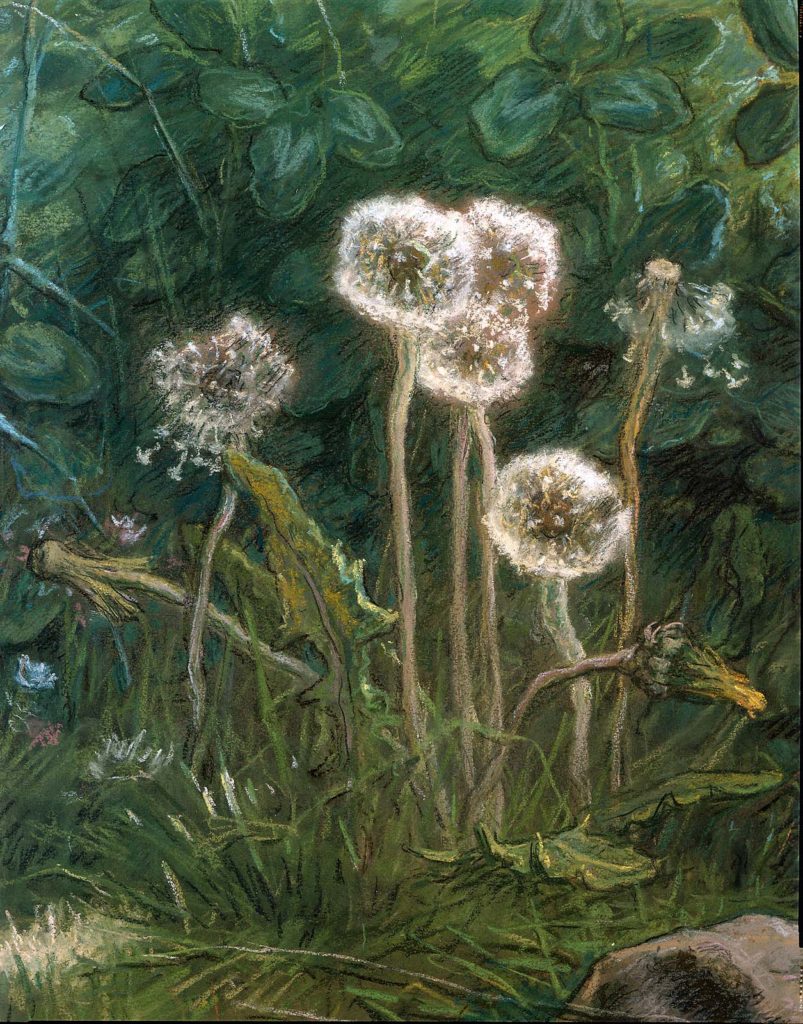 Dandelions detail, Millet
