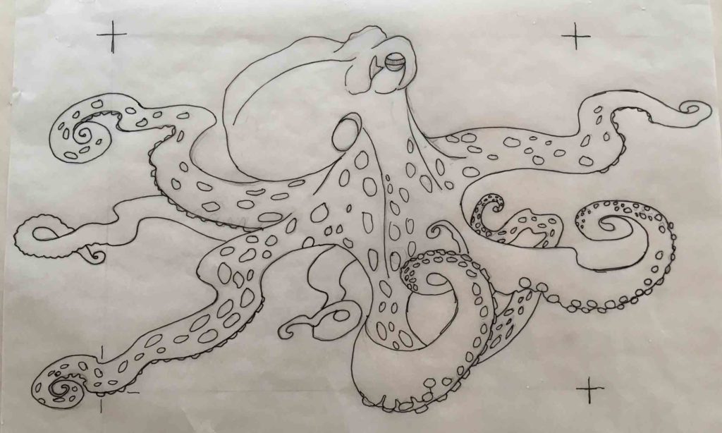 Octopus drawing
