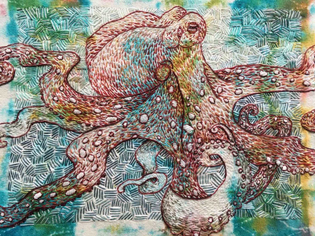 Octopus detail