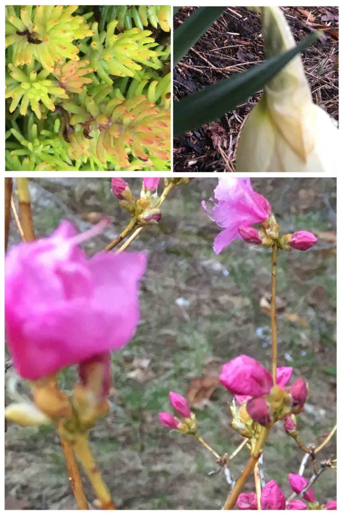 Spring 2