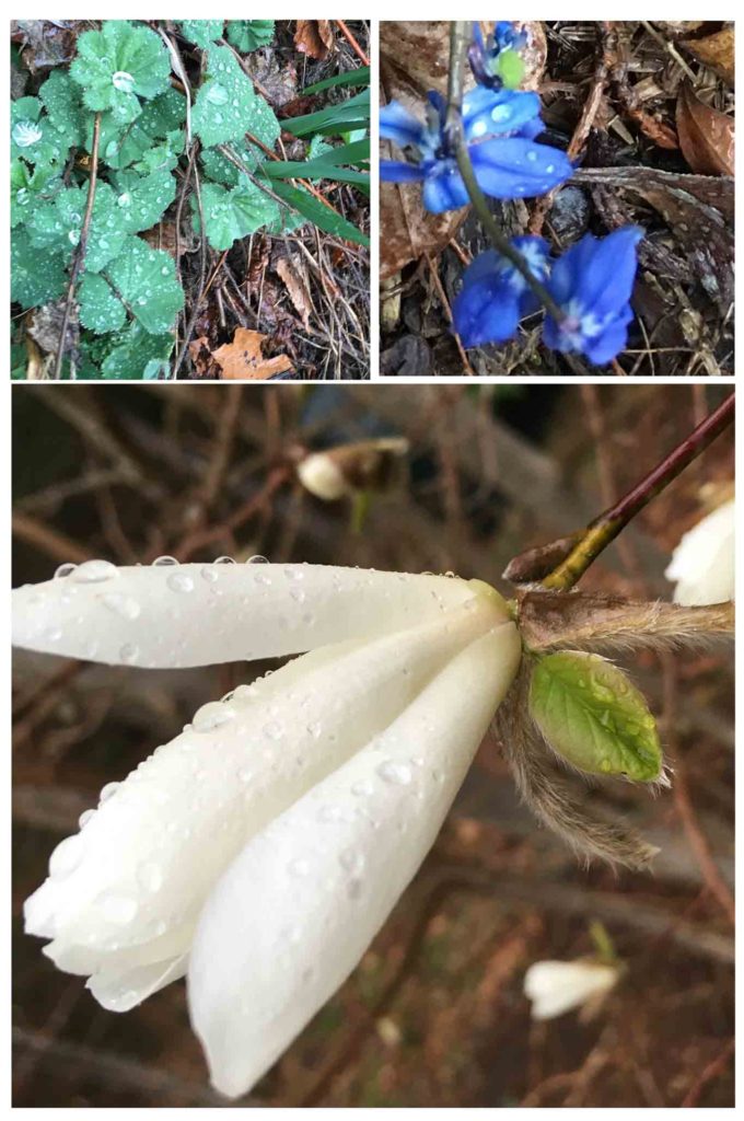 Spring 3