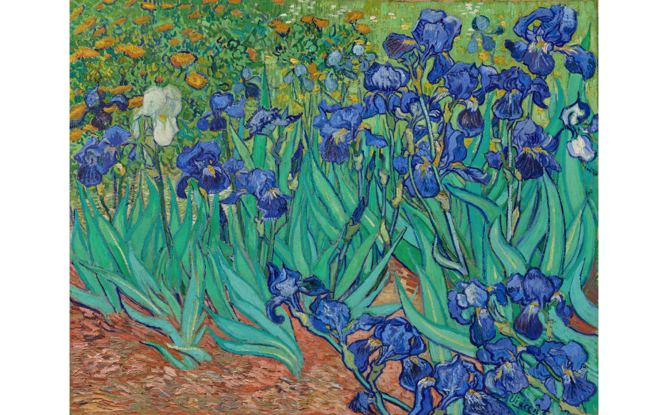 Van Gogh Irises