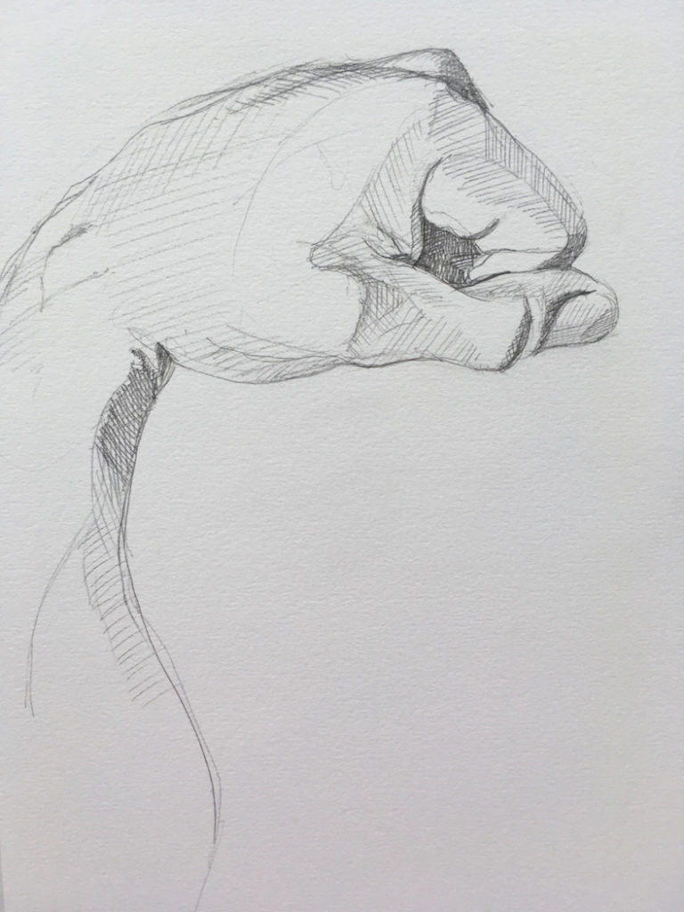 Fist 1