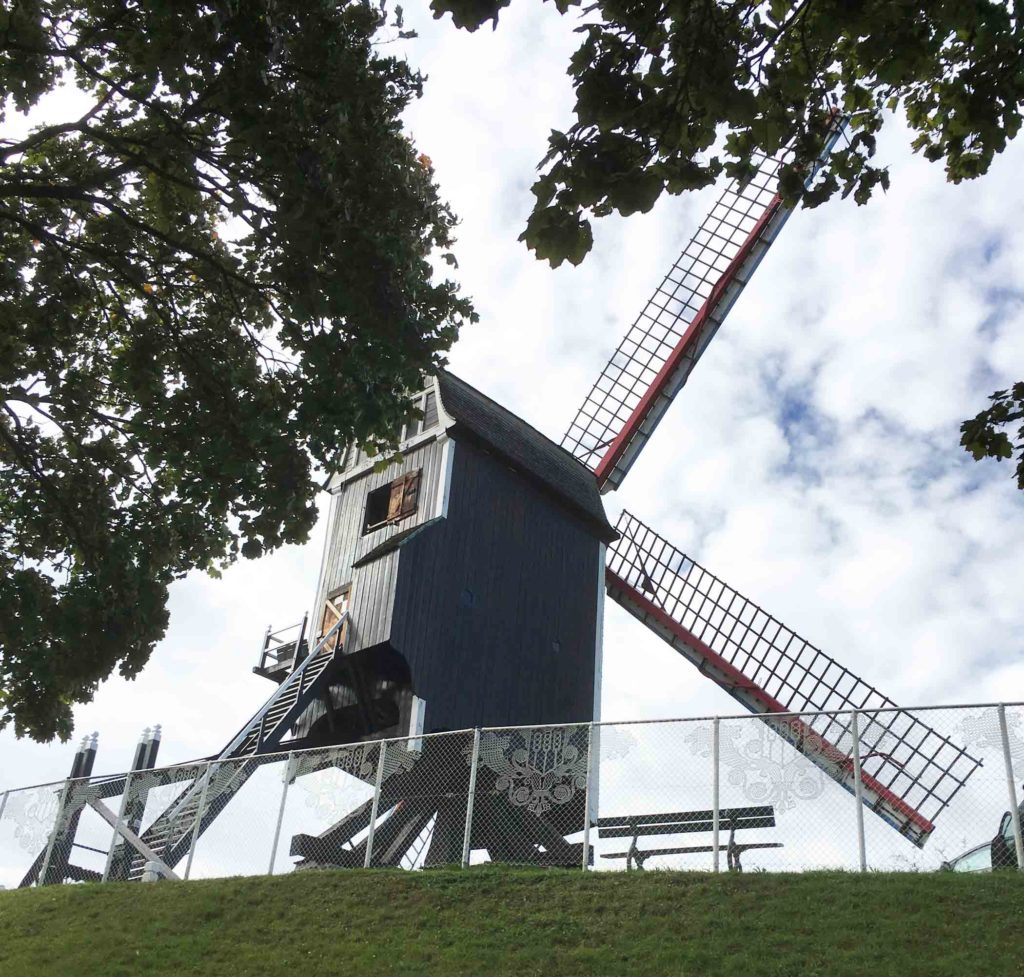 Windmill & Lace