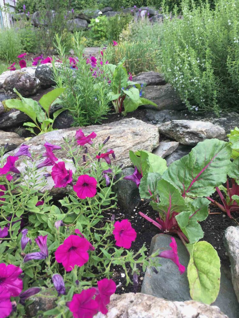 Herb Spiral