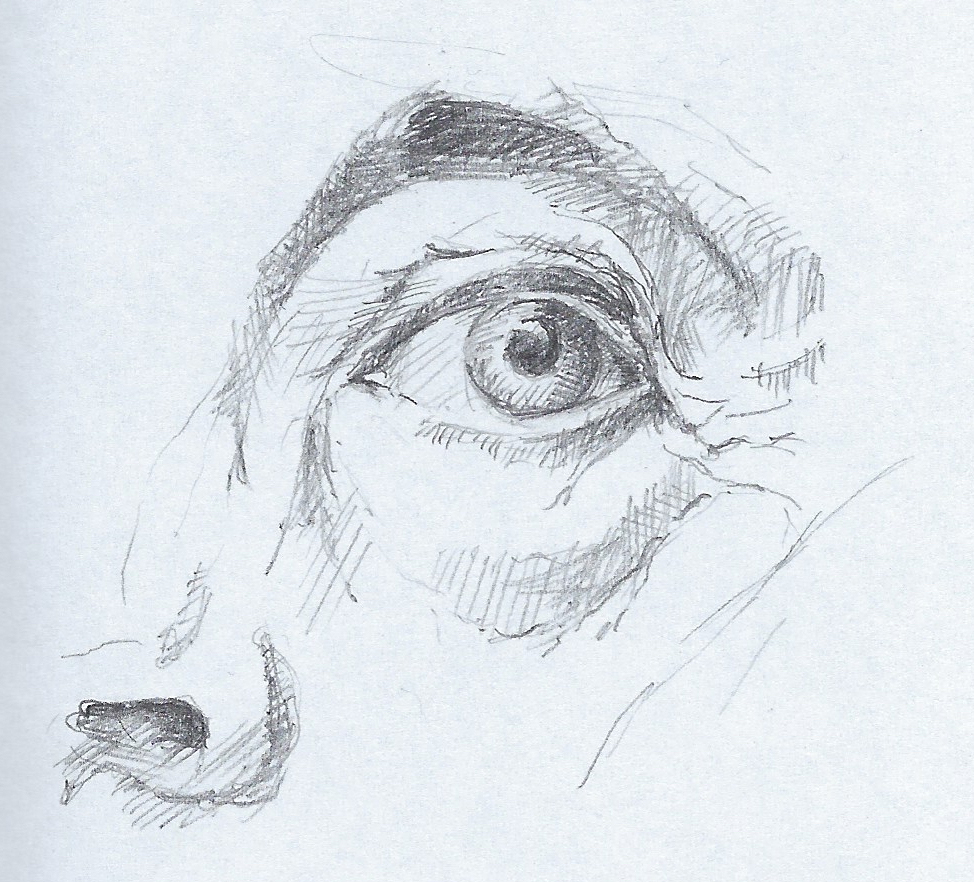 Eye 3