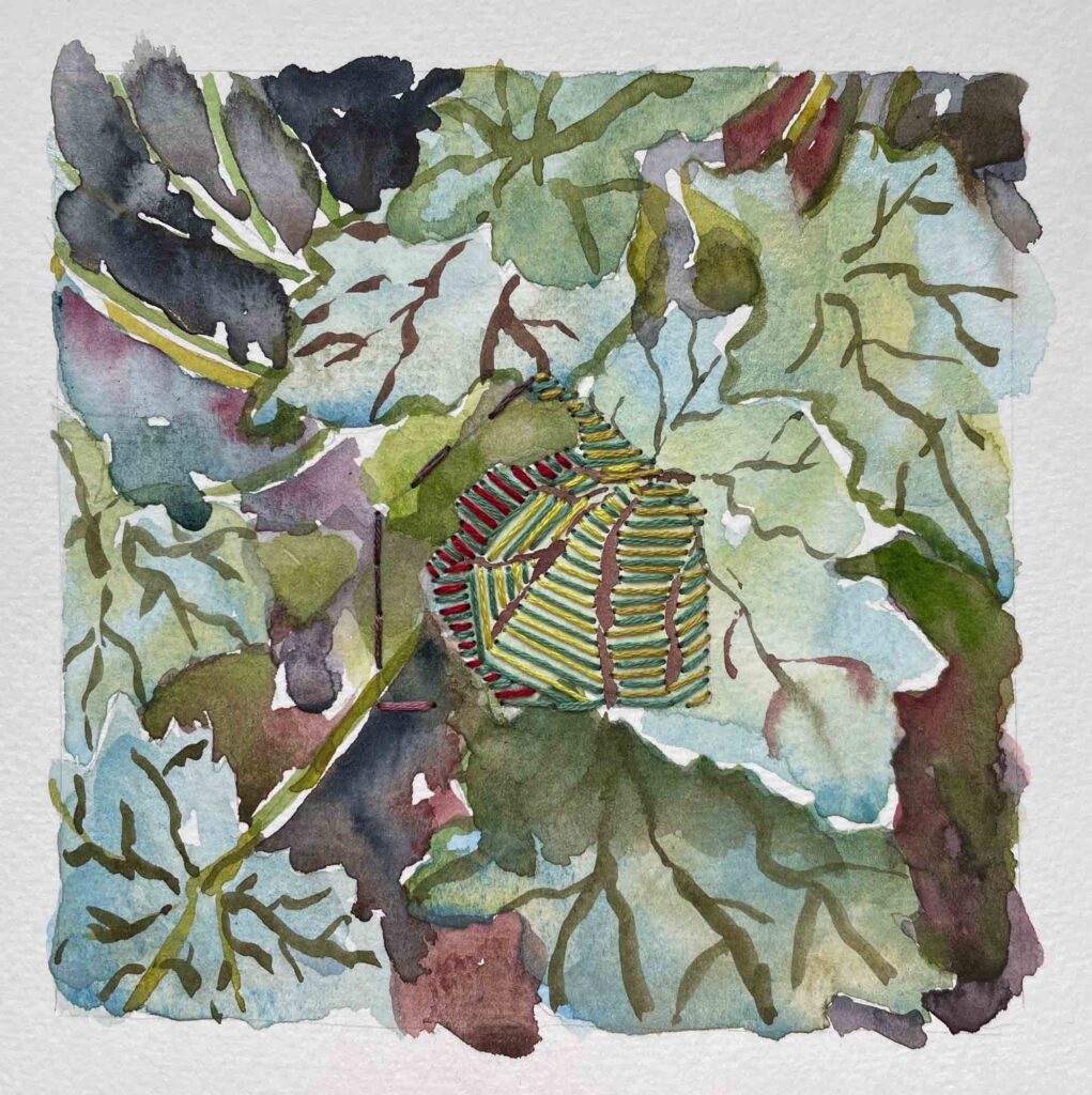 Heuchera