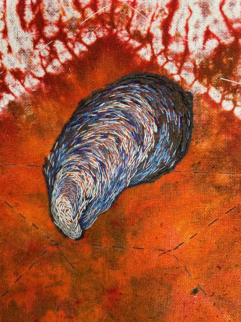 Mussel 4