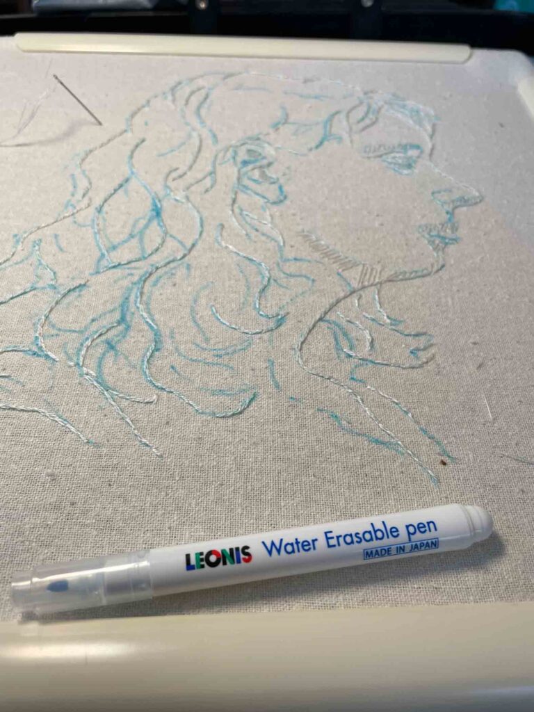Leon's Water Erasable Pen