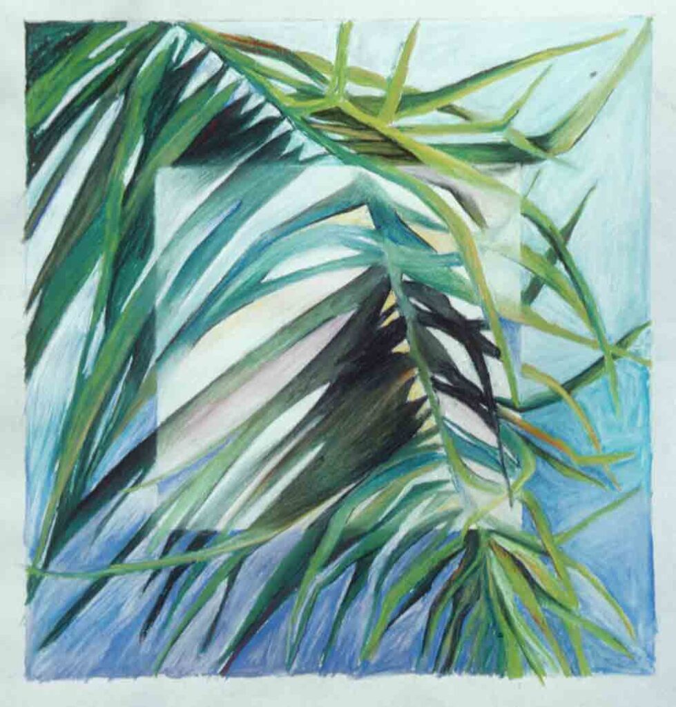 Palm Leaf