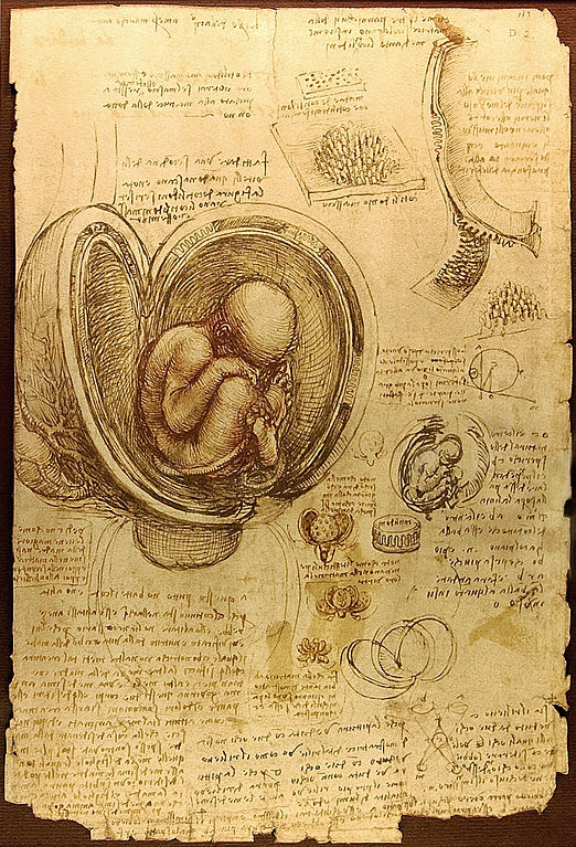 Leonardo's Notebook