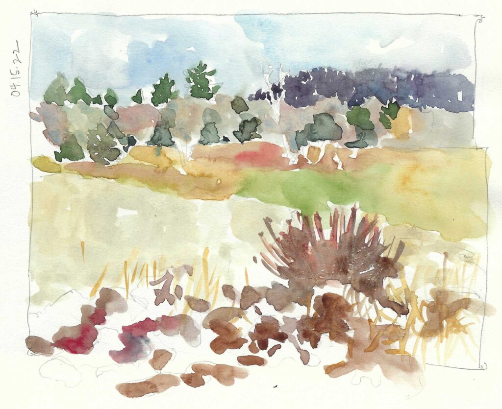 Field