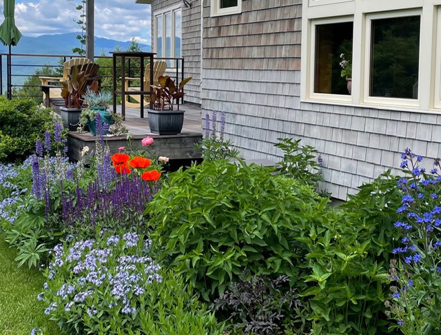 Front Garden