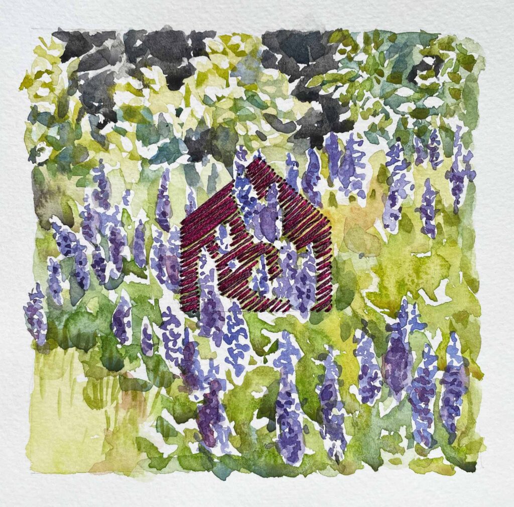 Lupine