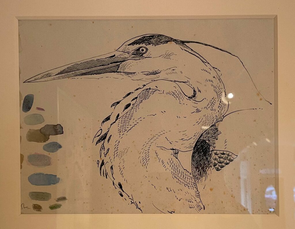 Scott Kelley drawing
