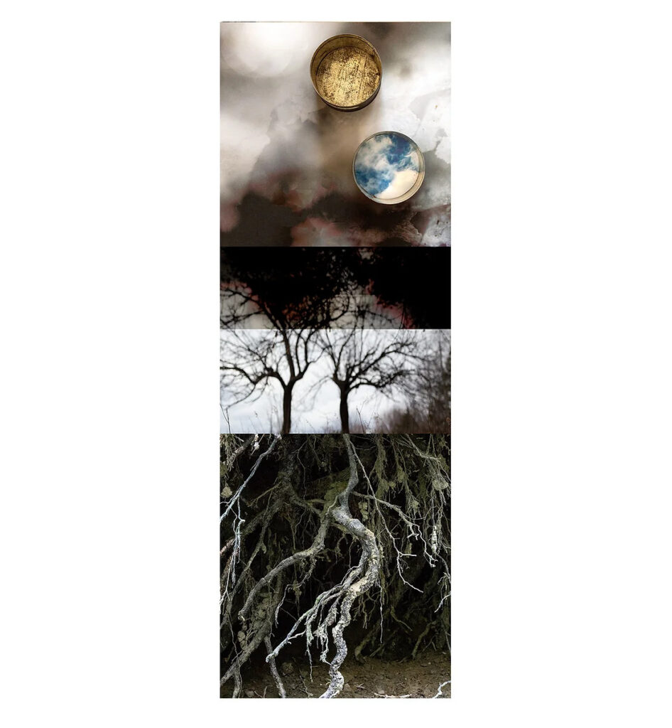 Michelle Saffran, Earth Danced Under A Hear Haze