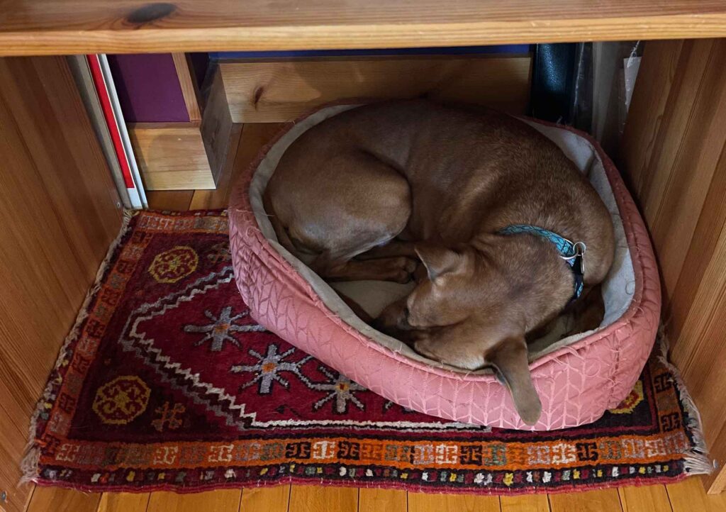 Under the Desk