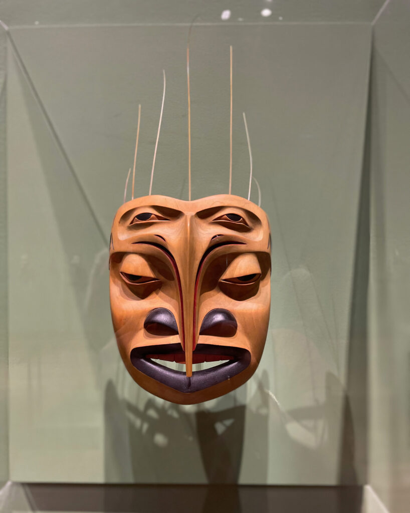 Mosquito Mask